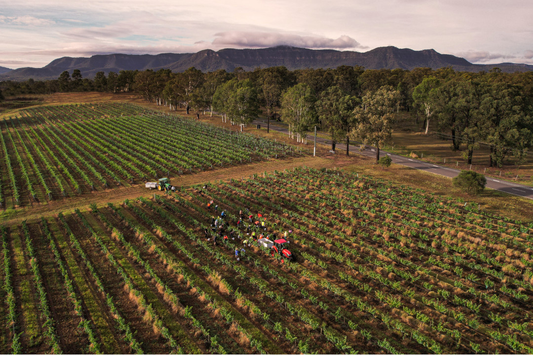 NewHero_Latitude32Wines Latitude 32 Wines