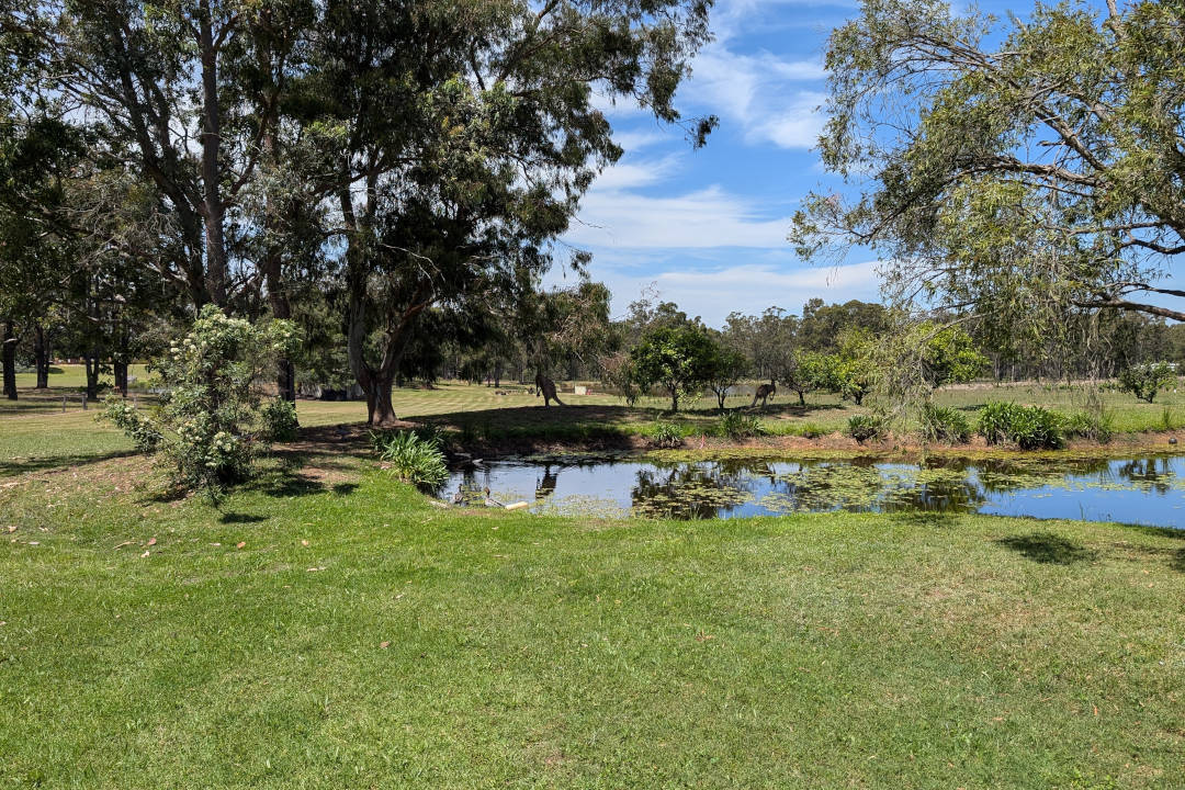 Mount Eyre Vineyards Glandore Wines
