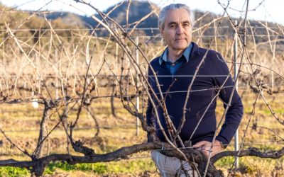 JOHN BELSHAM -WINMARK WINES