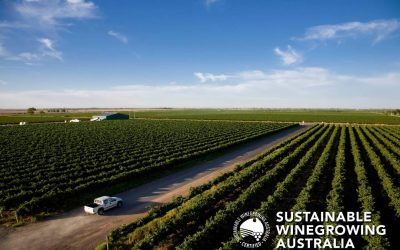 Sipping Sustainably: Zero Waste Vision