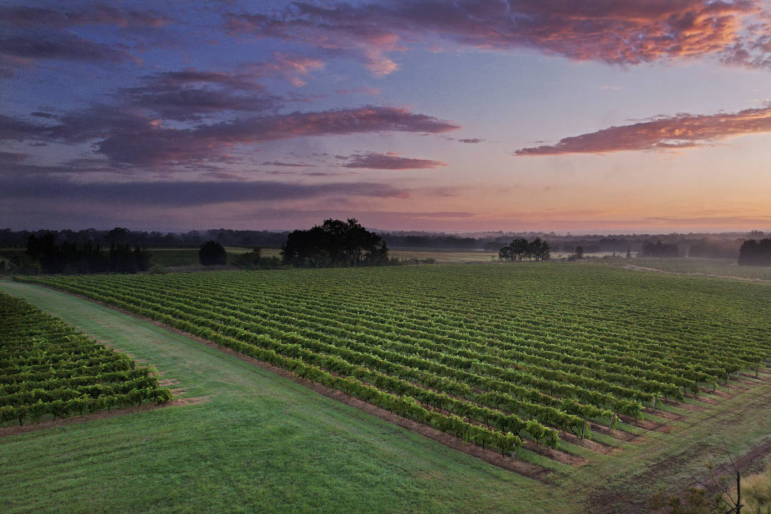 Hunter Valley