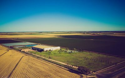 NUGAN ESTATE GARNERS ACCLAIM FROM THE REAL REVIEW
