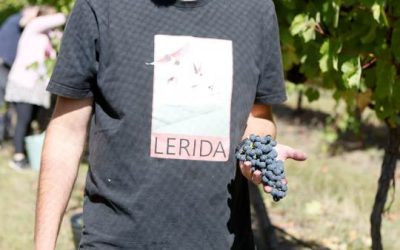 JACOB LAW – LERIDA ESTATE