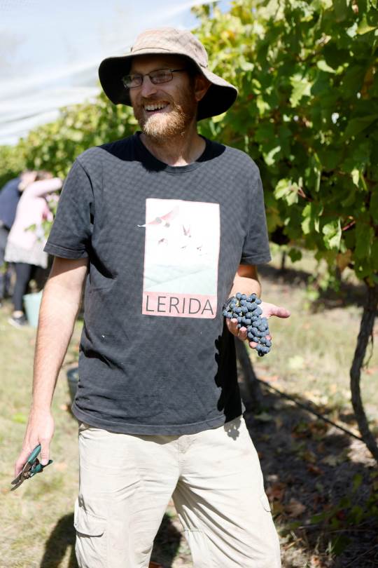 Lerida Estate