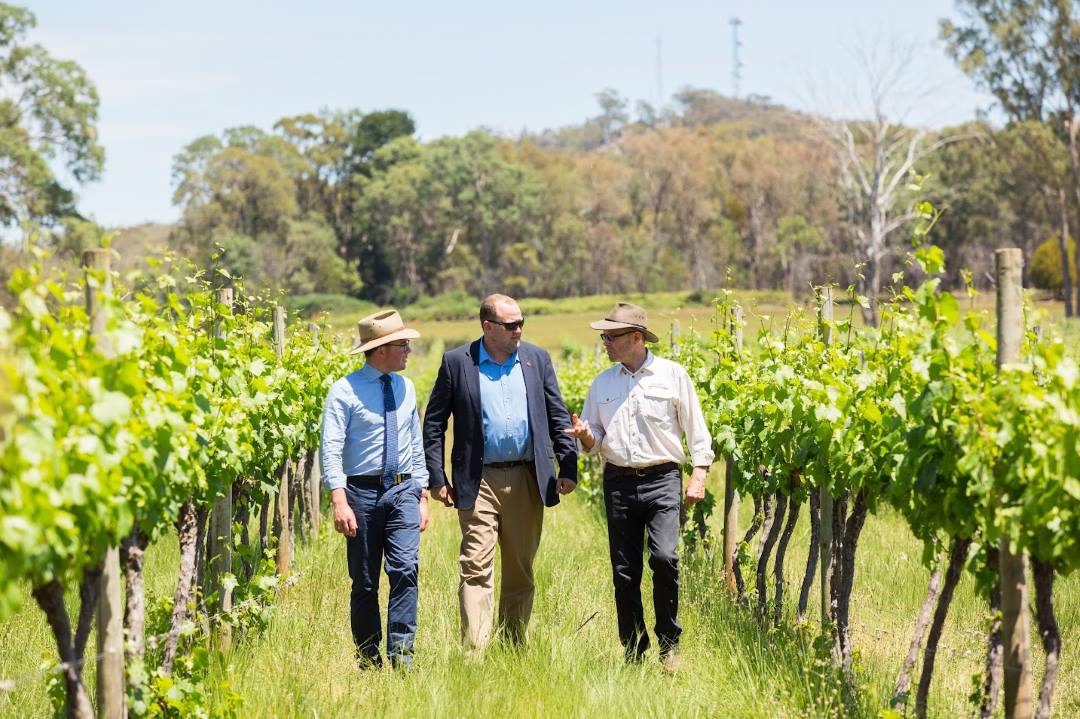 Topper's Mountain Wines