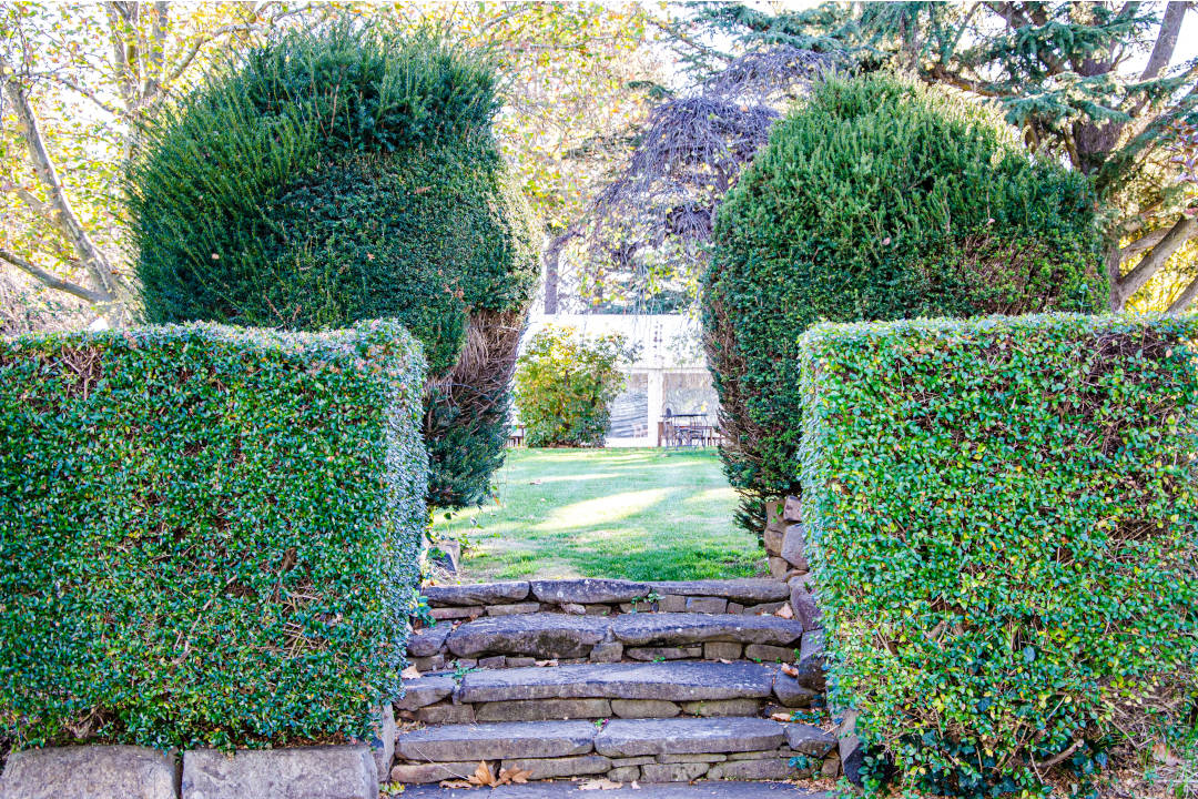 Petersons Armidale Garden