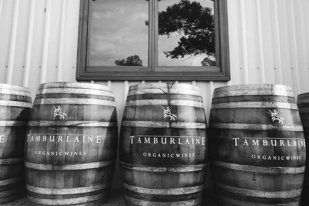 Tamburlaine Tamburlaine