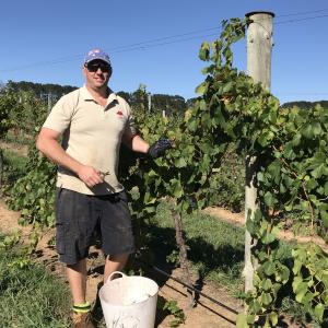 DAVID LORENTZ – CHERRY TREE HILL