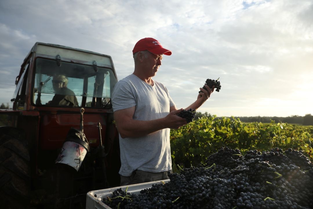 andrew thomas Thomas Wines